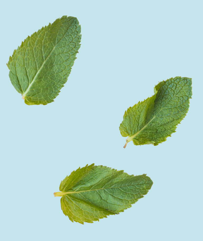 emoform-dental-sticks-usp4