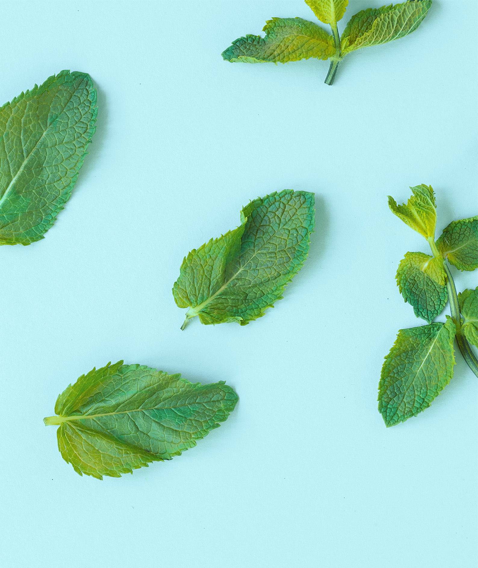 emoform-zahnseide-dental-floss-mint-usp3